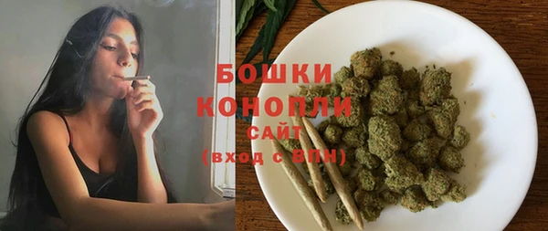 ECSTASY Бородино