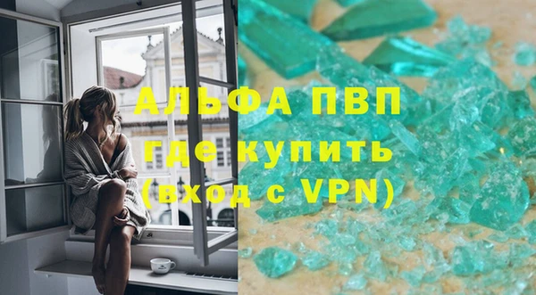 ECSTASY Бородино