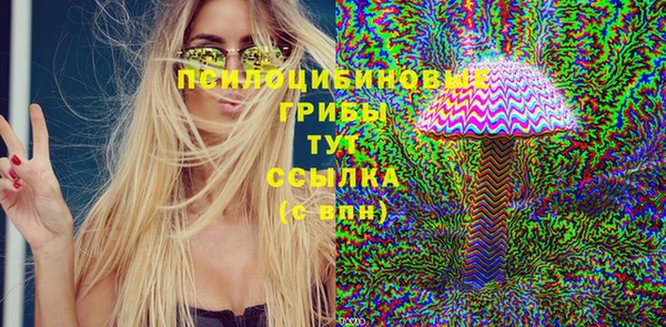 ECSTASY Бородино
