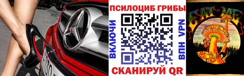 Галлюциногенные грибы GOLDEN TEACHER  Владикавказ 